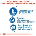 Royal Canin Indoor Appetite Control karma sucha dla kotów dorosłych, przebywających w domu, domagających się jedzenia 2kg
