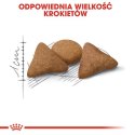 Royal Canin Indoor Appetite Control karma sucha dla kotów dorosłych, przebywających w domu, domagających się jedzenia 2kg
