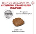 Royal Canin Urinary Care karma sucha dla kotów dorosłych, ochrona dolnych dróg moczowych 2kg