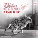 Royal Canin Hairball Care karma sucha dla kotów dorosłych, eliminacja kul włosowych 400g
