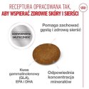 Royal Canin Hair&Skin Care karma sucha dla kotów dorosłych, lśniąca sierść i zdrowa skóra 2kg