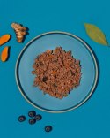 Amanova Dog Adult Iberian Pork - wieprzowina saszetka 100g [P04]