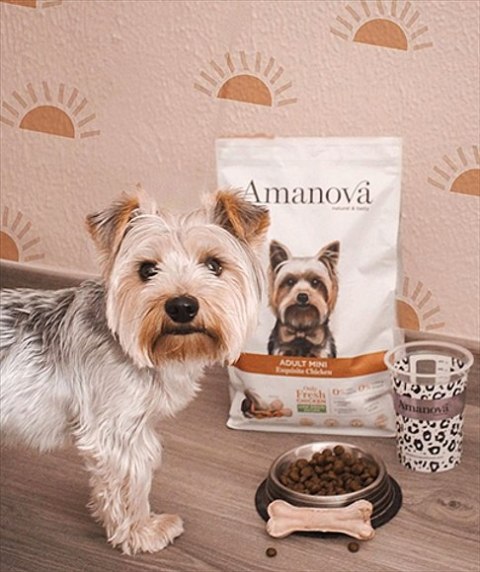 Amanova Dog Adult Mini Exquisite Chicken - kurczak 7kg