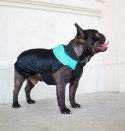 Chaba Ubranko regulowane Wear Magnifique 4XL zielone