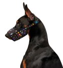 Collar WauDog Nylon Kaganiec, plastikowy fastex, wzór NASA, rozmiar 3 [25-34cm]