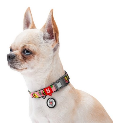 Collar WauDog Nylon Obroża nylonowa z QR-paszportem, plastikowy fastex, wzór AWOKADO NA RÓŻU, S 15mm/25-35cm