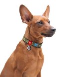 Collar WauDog Nylon Obroża nylonowa z QR-paszportem, plastikowy fastex, wzór MILITARY, L 25mm/33-49cm