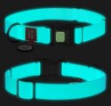 Collar WauDog Waterproof Obroża wodoodporna z QR-paszportem, akumulująca światło, plastikowy fastex, 25mm/34-49cm