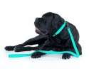 Collar WauDog Waterproof Obroża wodoodporna z QR-paszportem, akumulująca światło, plastikowy fastex, 25mm/34-49cm