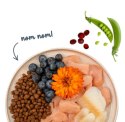 Sanabelle Adult Forelle - z pstrągiem 2kg