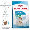 Royal Canin Mini Starter Mother&Babydog karma sucha dla szczeniąt do 2 miesiąca i suk karmiących ras małych 4kg