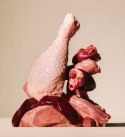 Carnilove Dog Turkey & Reindeer & Wildboar Adult - indyk, renifer i dzik puszka 400g