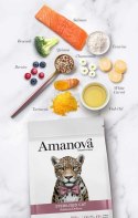 Amanova Cat Sterilised Salmon Deluxe - łosoś 300g [termin ważności: 19.09.2026]
