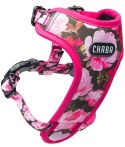 CHABA Szelki Guard Comfort bezuciskowe Story IV XS Peony