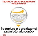 Royal Canin Dermacomfort Loaf karma mokra - pasztet, dla psów dorosłych wszystkich ras saszetka 85g