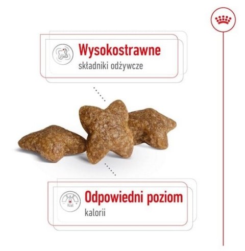 Royal Canin Mini Adult karma sucha dla psów dorosłych, ras małych 4kg